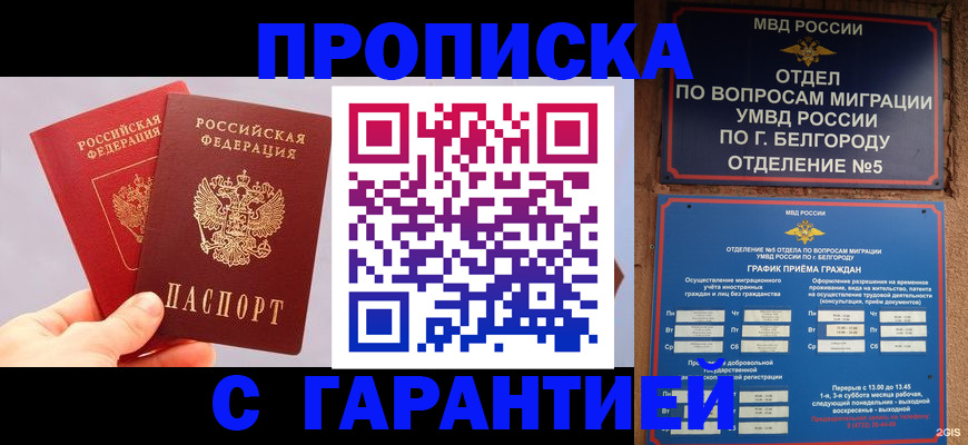 прописка 2025 в Сланцах